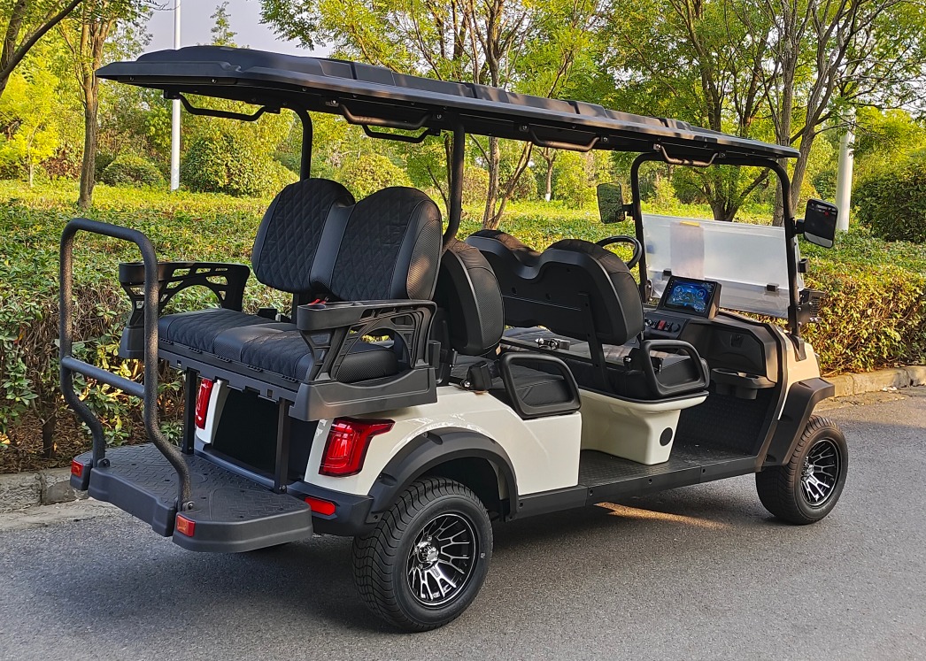 WhatsApp Image 2025-07-28 at 8.36.31 PM (1)