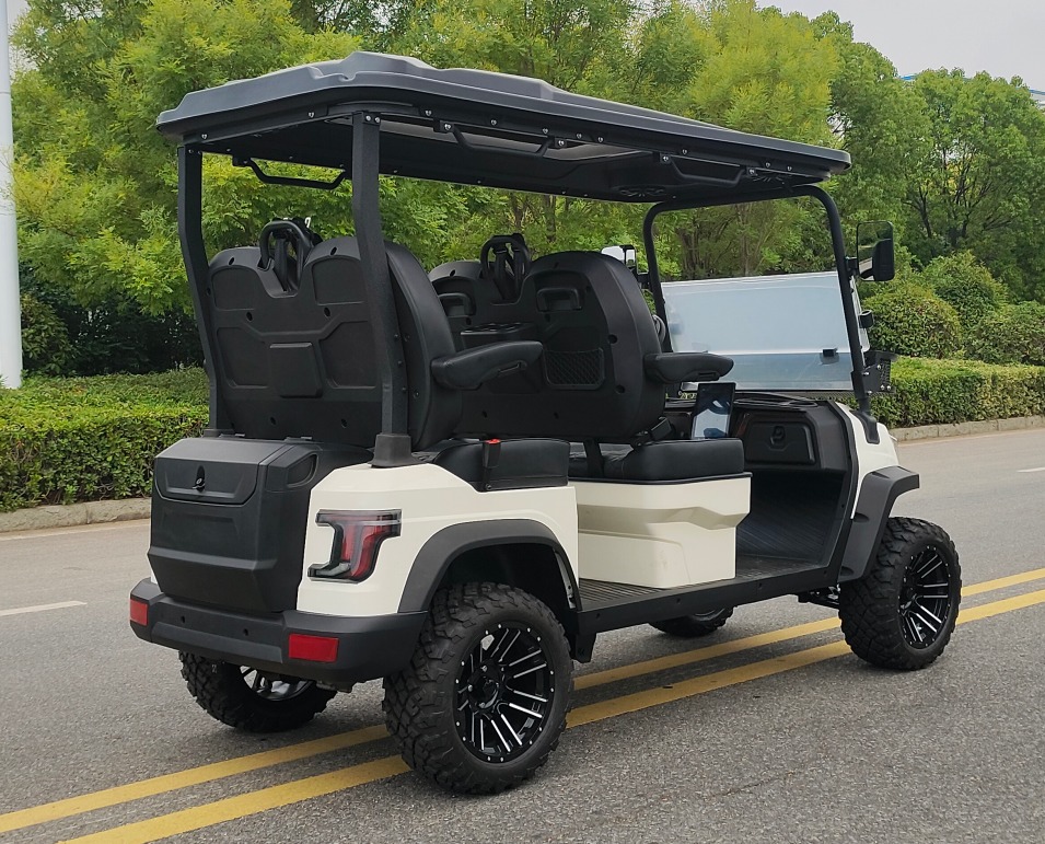 WhatsApp Image 2025-07-28 at 8.36.31 PM